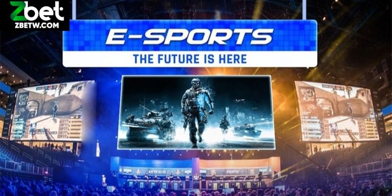 Các tựa game thú vị đáng để trải nghiệm tại sảnh TF