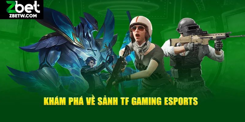 Đôi nét tổng quan về sảnh TF gaming